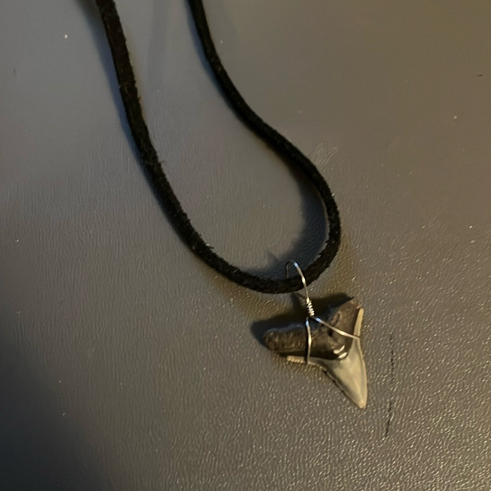 Silver Shark Tooth Pendant Necklace